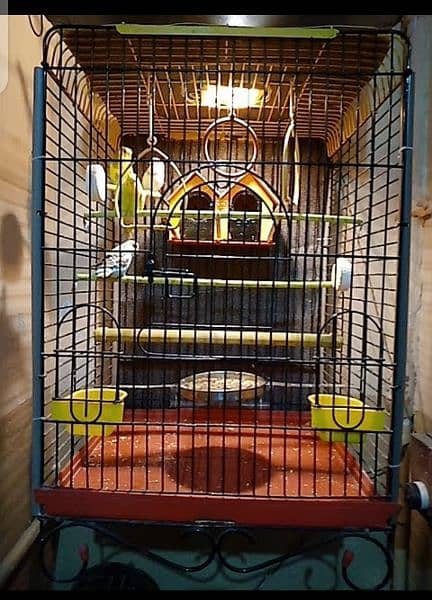 Cage For Parrot 2