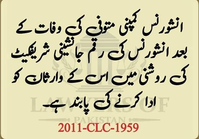 Advocate وکیل 13
