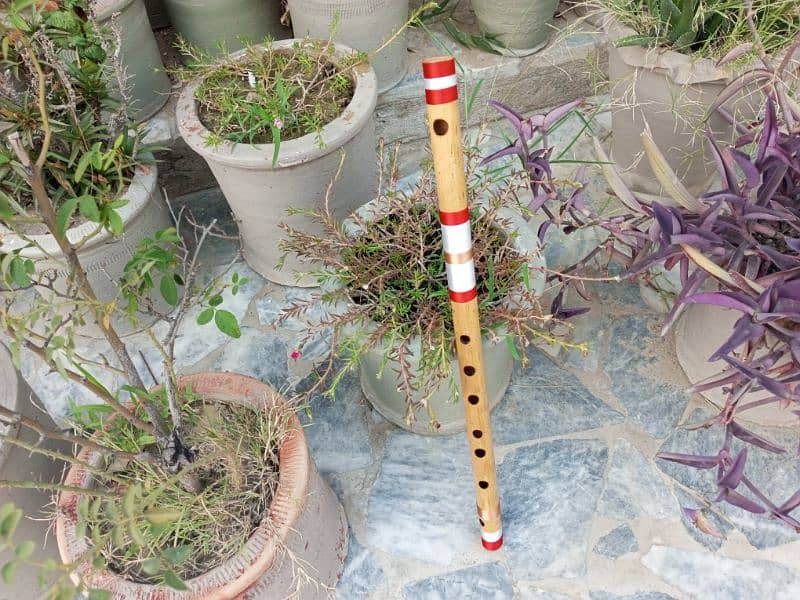 Indian flute 2