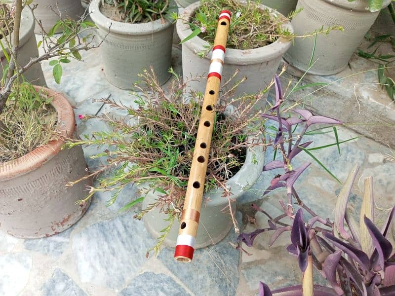 Indian flute 6