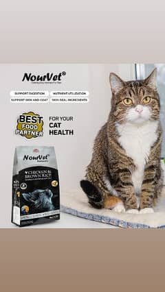 Nourvet Cat Food Available In 1 KG