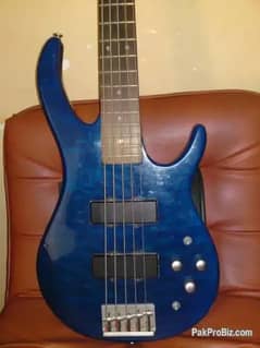 5-String Active Japanese Professional Bass and Marshall Guitar Amp