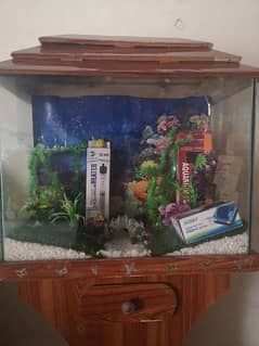 Fish Aqariam beautiful home Decoration piece