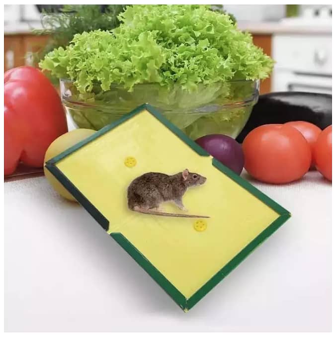 Pack of 3 - Super Strong Sticky Rat Glue Trap Board Mouse Rodent Catch 1