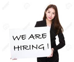 females required  for office working, office staff, required 0