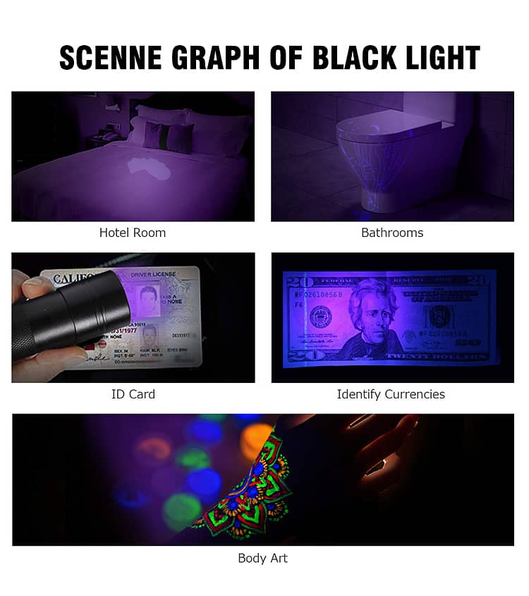 Zoomable Led UV Flashlight Torch Ultra Violet Light UV 395nm 6