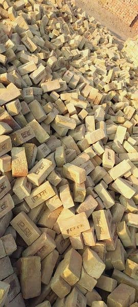 all kinds of bricks available at comfortable price 4
