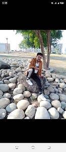 shanijee838@gmail.com