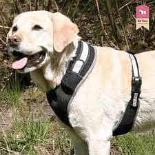 Trixie Dog Harness. Made in Germany.