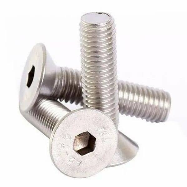 Stainless Steel SS Nut bolts Washers and all types of fastners 1