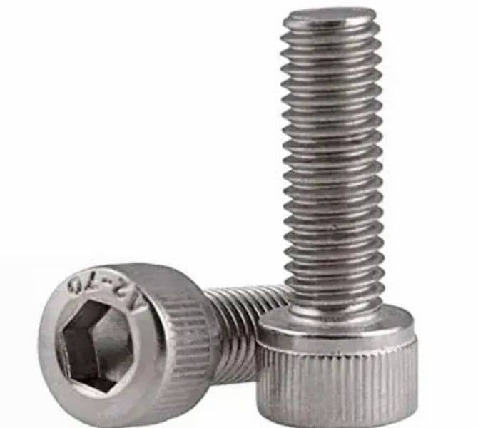 Stainless Steel SS Nut bolts Washers and all types of fastners 2