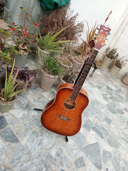 Brand New Acoustic Guitar 1