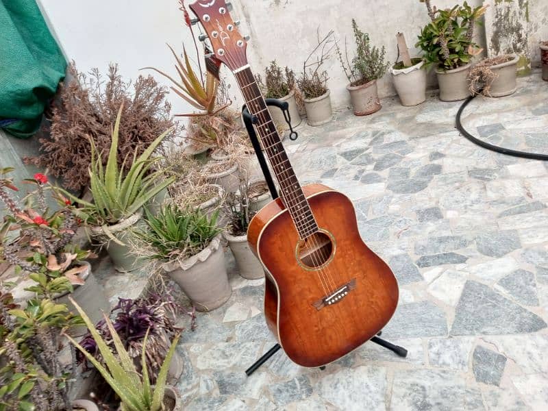 Brand New Acoustic Guitar 2