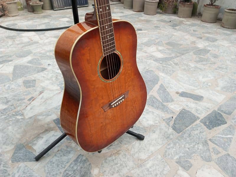 Brand New Acoustic Guitar 5