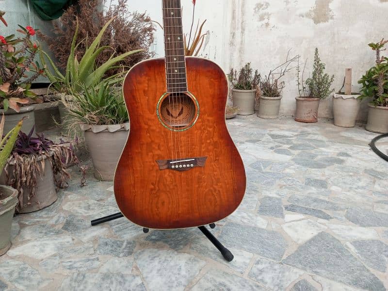 Brand New Acoustic Guitar 9