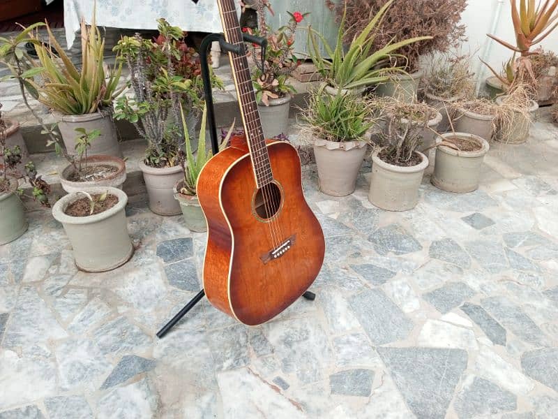 Brand New Acoustic Guitar 15