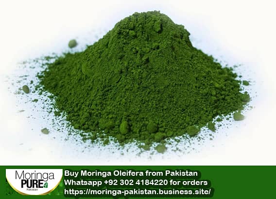 Fresh Sohanjana Moringa Powder Islamabad & Rawalpindi 3