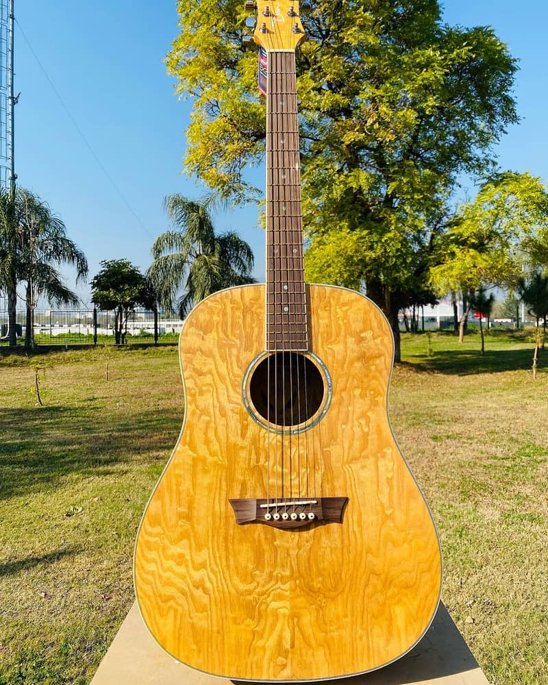 Yamaha Fender Taylor Martin Kapok Dean Guitars 2