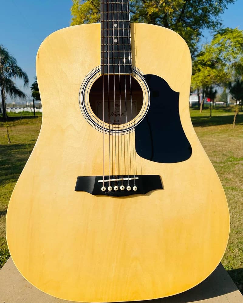 Yamaha Fender Taylor Martin Kapok Dean Guitars 7