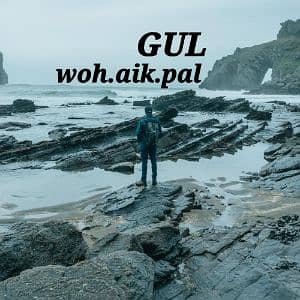 Gul