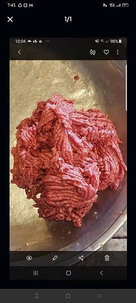 Dog food (frozen chicken mince) pet food / puupy food for sale 2