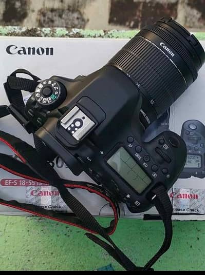 canon 80 d olx