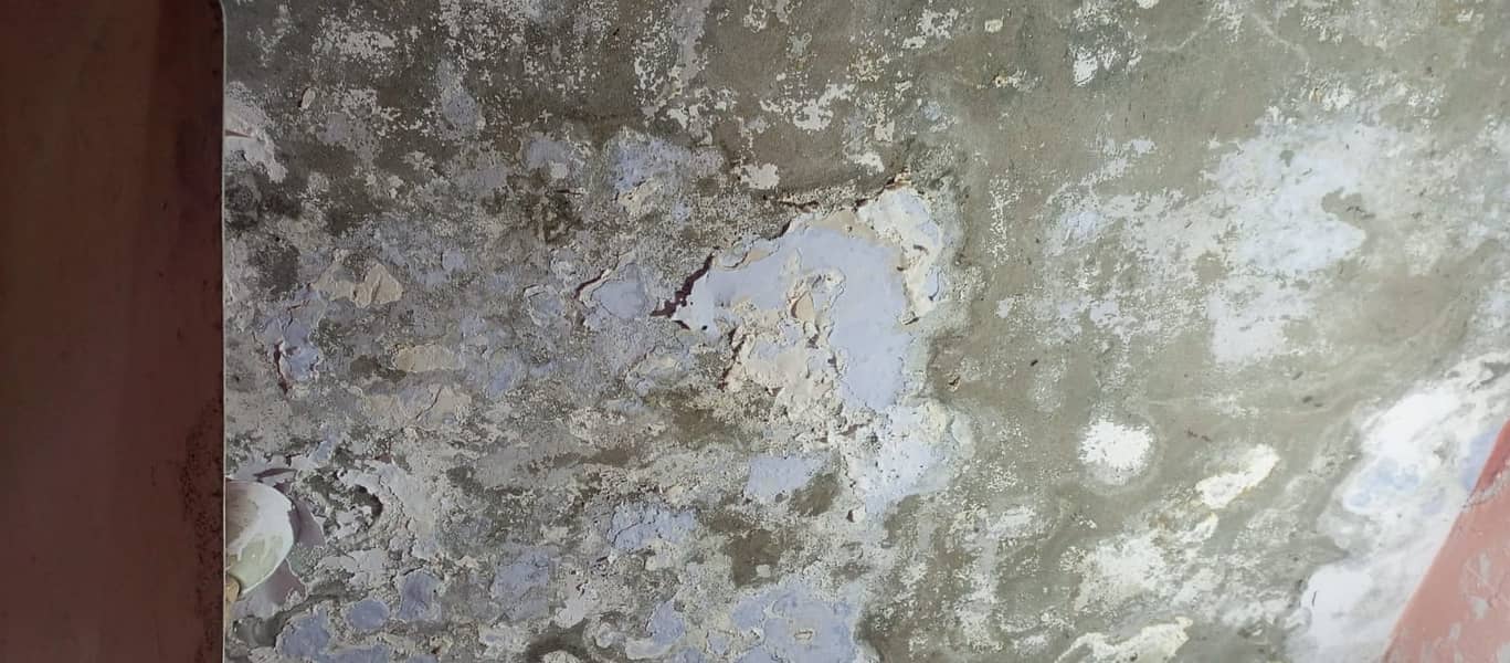 Bathroom Leakage Treatment | Water tank waterproofing Services Roof 6