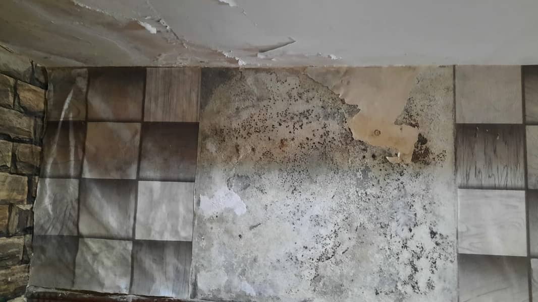 Bathroom Leakage Treatment | Water tank waterproofing Services Roof 10