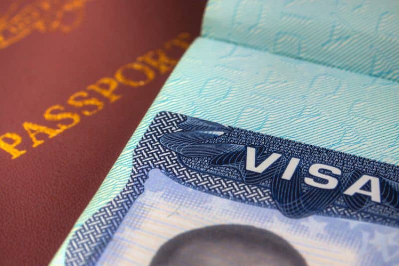 America,Canada, Australia, UK, USA,Azerbaijan, Dubai, Oman,Qatar Visas 1