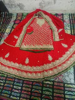 fancy bridal sharara 1 Tim used contect only my WhatsApp 0