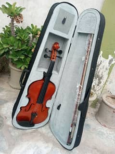 Brand New Violin
