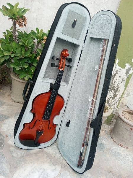 Brand New Violin 0