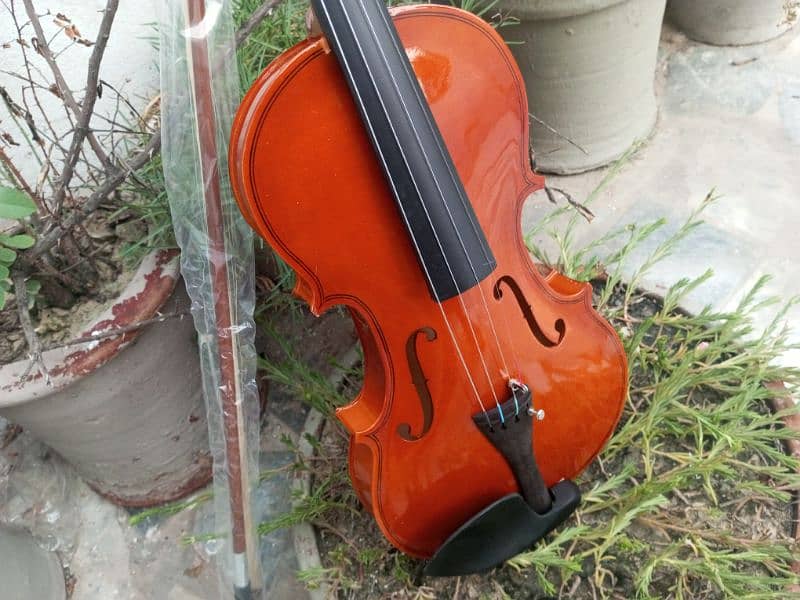 Brand New Violin 10