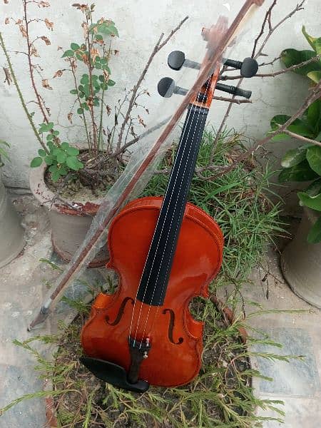 Brand New Violin 11