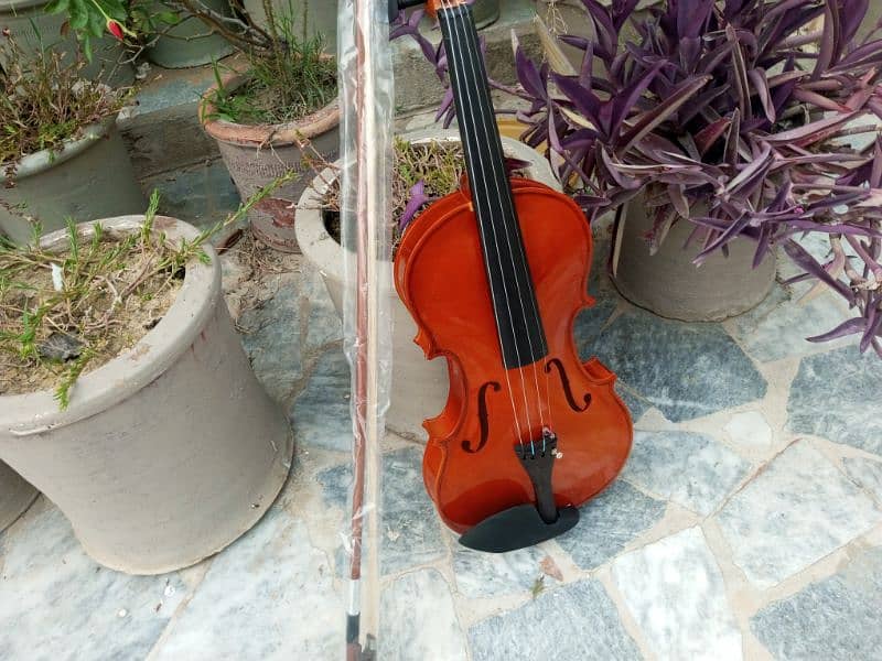 Brand New Violin 12