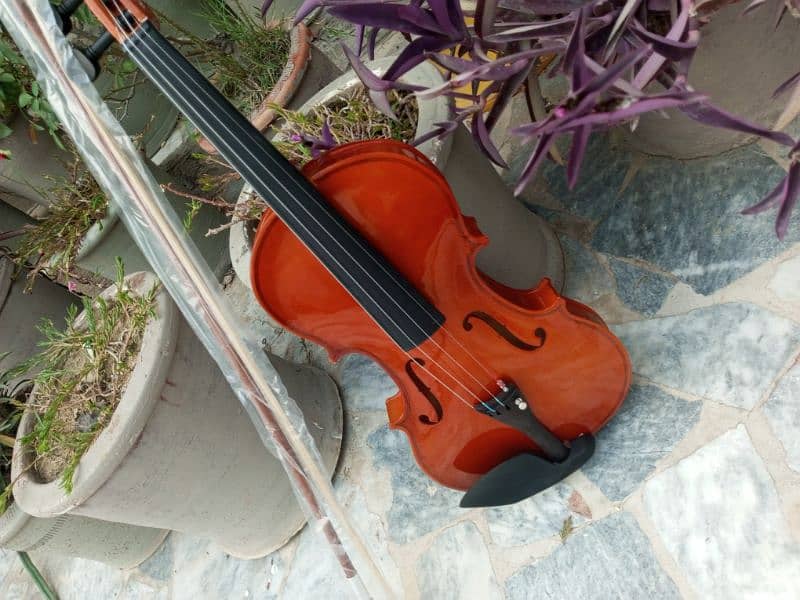 Brand New Violin 17