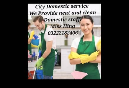 Cook/Maid/cook/patientattendant/Driver/Helper.