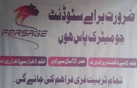 i have online job person need job online student or job holder persons