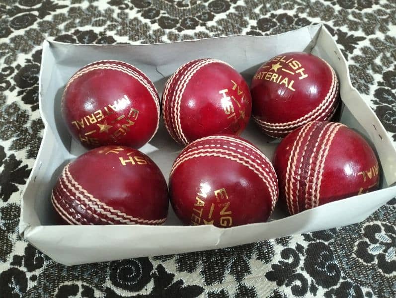 Cricket Hard Balls 1