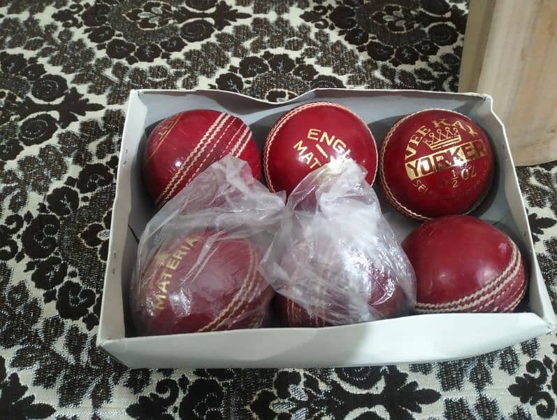 Cricket Hard Balls 2