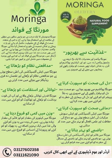Moringa Leaf Powder 1