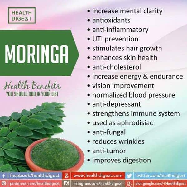 Moringa Leaf Powder 3
