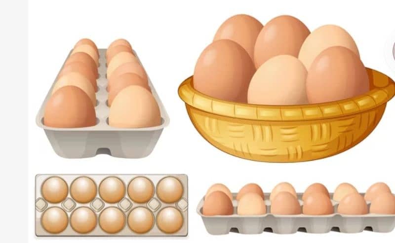 desi eggs 0