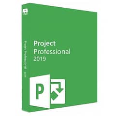 Project Professional 2019 Product CD Key