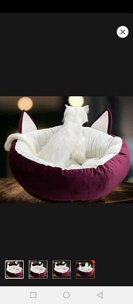 Pet Bed 1