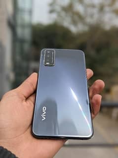 Vivo