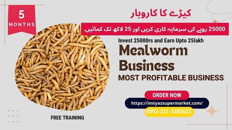 Drakling Beetle | Rs 2 Each Mealworms | USA Gold Breed 03212-202-6-2-2 5