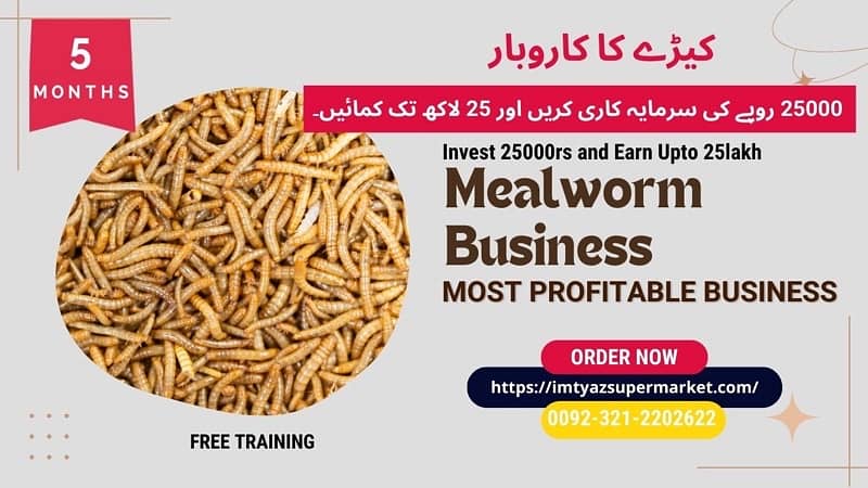 Drakling Beetle Larva | Rs 2 Each Mealworms | USA 03212-202-6-2-2 5