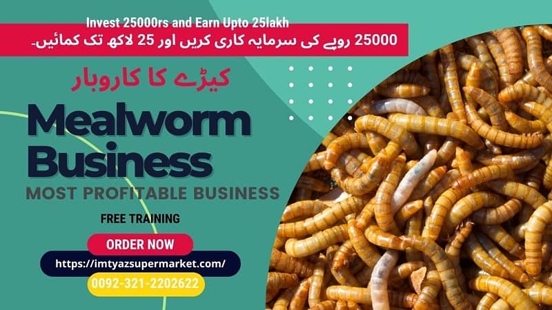Drakling Beetle | Rs 2 Each Mealworms | USA Gold Breed 03212-202-6-2-2 10