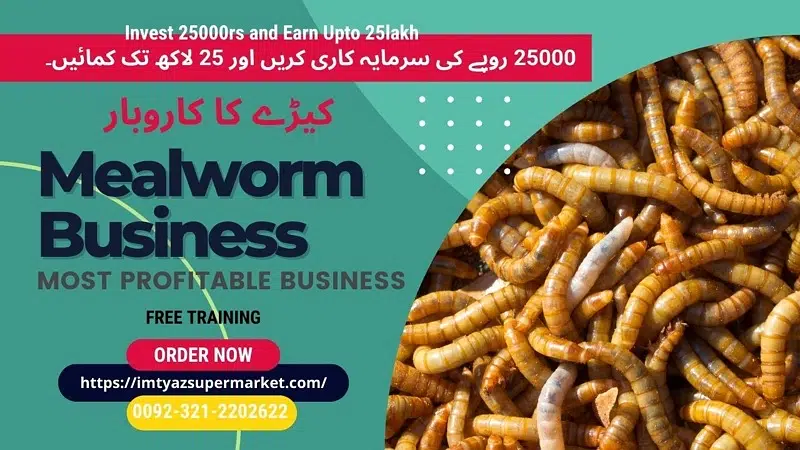 Drakling Beetle Larva | Rs 2 Each Mealworms | USA 03212-202-6-2-2 — photo 11